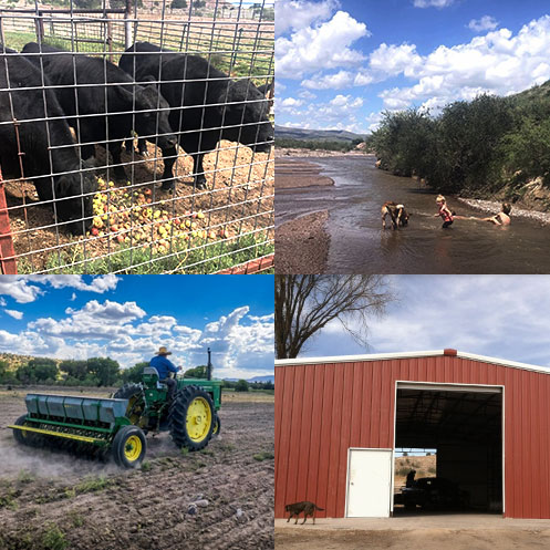 Around the Bear Creek Ranch