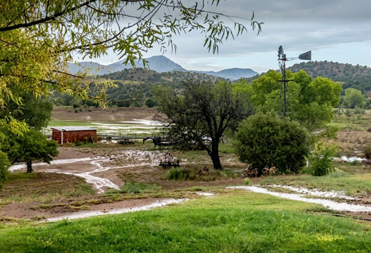 Water running at the Bear Creek Homestead