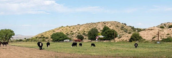 Bear creek ranch landscape